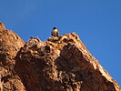 photo thumbnail #14