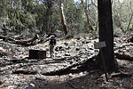 photo thumbnail #3