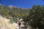 photo thumbnail #10