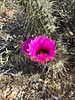 photo thumbnail #14