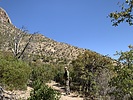 photo thumbnail #2
