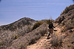 photo thumbnail #10