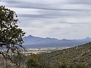 photo thumbnail #4