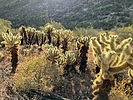 photo thumbnail #13