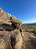 photo thumbnail #14