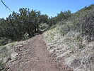 photo thumbnail #2