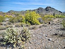 photo thumbnail #14