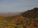 photo thumbnail #4