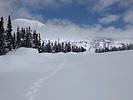 photo thumbnail #2