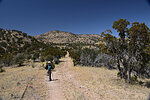 photo thumbnail #4
