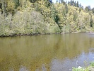 photo thumbnail #12