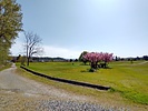 photo thumbnail #13