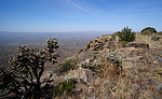 photo thumbnail #14