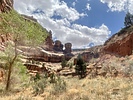 photo thumbnail #14