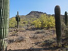 photo thumbnail #4