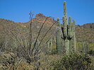 photo thumbnail #5