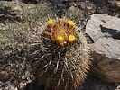 photo thumbnail #8