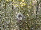 photo thumbnail #12