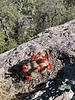photo thumbnail #1