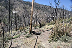 photo thumbnail #11