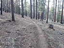 photo thumbnail #1