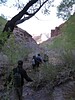 photo thumbnail #13