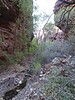 photo thumbnail #15