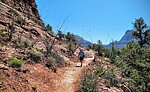 photo thumbnail #10