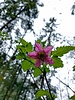 photo thumbnail #10