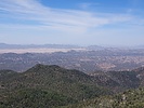 photo thumbnail #12