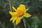 photo thumbnail #14