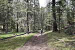 photo thumbnail #4