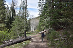 photo thumbnail #5