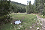 photo thumbnail #6