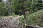 photo thumbnail #7