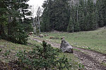 photo thumbnail #10