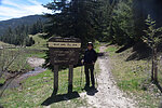 photo thumbnail #3
