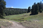 photo thumbnail #11