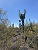 photo thumbnail #8