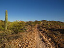 photo thumbnail #7