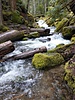 photo thumbnail #14