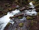 photo thumbnail #15