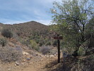 photo thumbnail #7