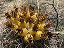 photo thumbnail #13