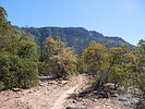 photo thumbnail #8