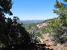 photo thumbnail #11