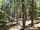 photo thumbnail #15