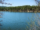 photo thumbnail #3