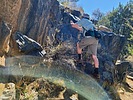 photo thumbnail #4