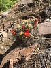 photo thumbnail #8